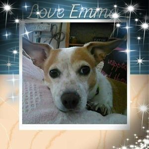 Meet your Posher, Shawn